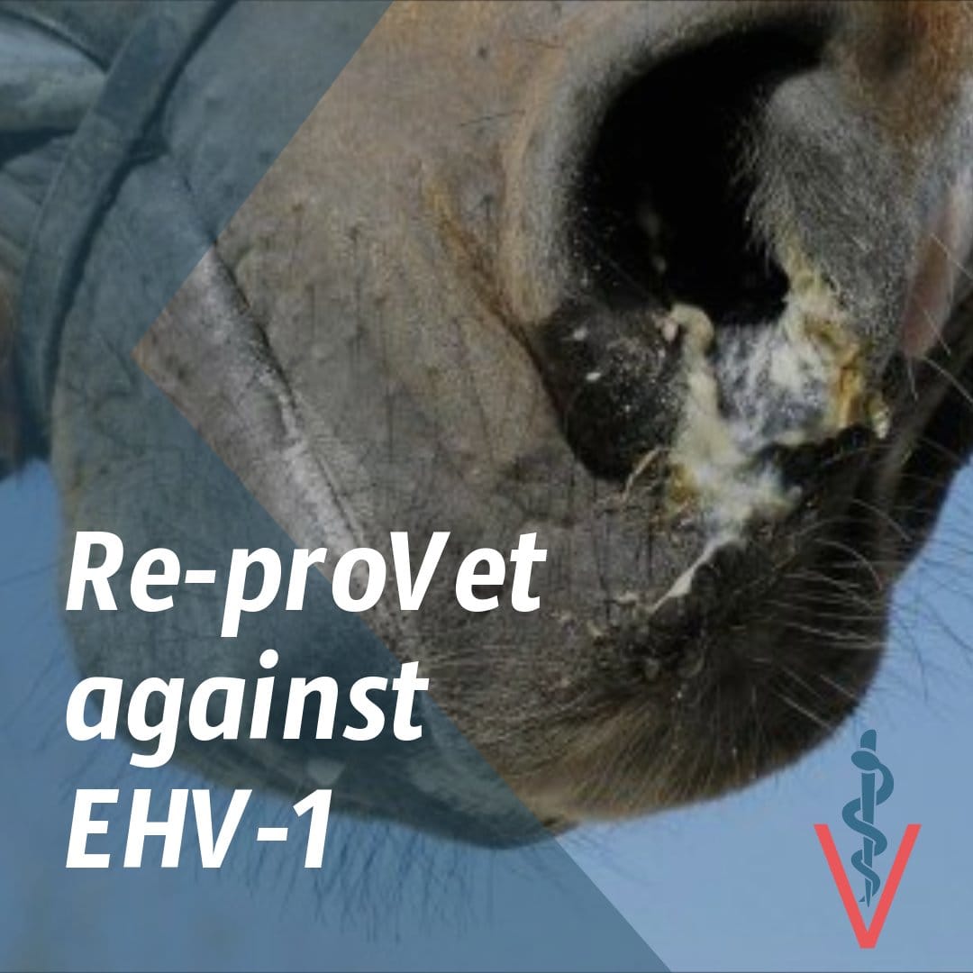 Re-proVet - EHV-1